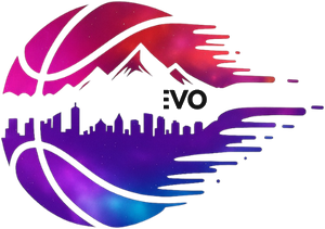 Team Evo